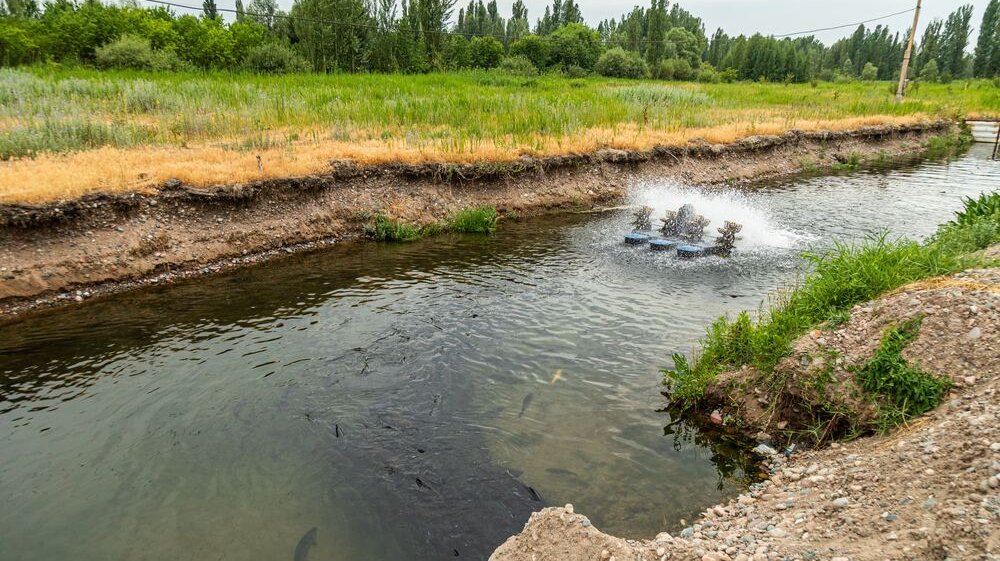 Agriculture/aquaculture