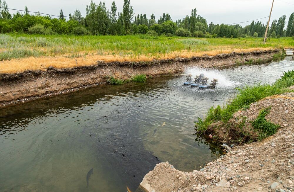 Agriculture/aquaculture